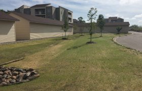 In-ground sprinkler system installed by Exterior Designs of Alexandria