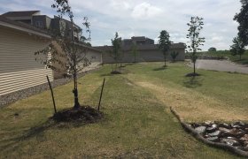 In-ground sprinkler system installed by Exterior Designs of Alexandria
