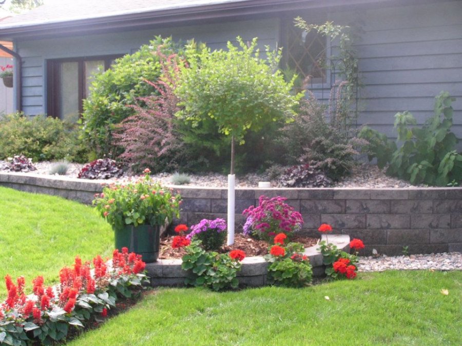 大型本 Ornamental Plants in the Landscape Amazon.com: Ornamental Plants in the Landscape